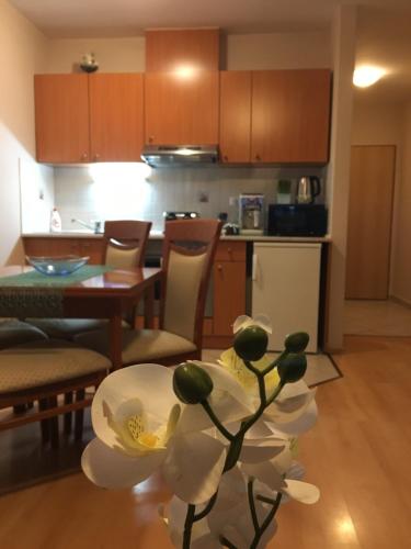 a kitchen and a living room with a table with a flower at Orchidea Apartman in Hegykő