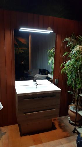 a bathroom with a sink and a large mirror at B&B Carpe Diem in Eijsden