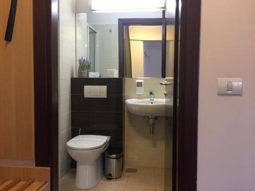 La salle de bains est pourvue de toilettes et d'un lavabo. dans l'établissement Hotel Carpați, à Predeal