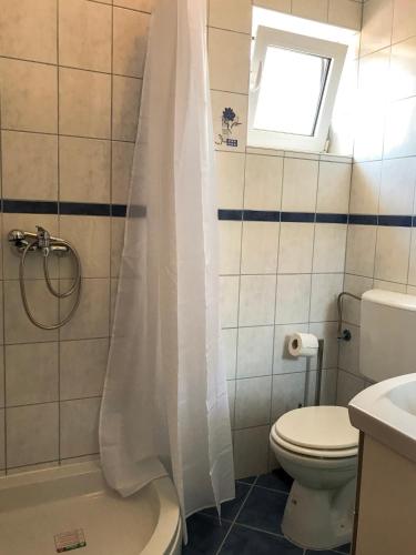 a bathroom with a shower with a toilet and a sink at MR. HALL Apartments in Barbat na Rabu