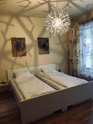 Un pat sau paturi într-o cameră la 365