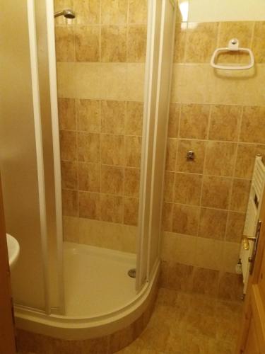 a shower with a glass door in a bathroom at Penzion Ve Staré škole in Vlastějovice