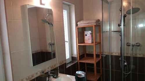 マギャーヘフカランドにあるBorostyán Vendégházのバスルーム(シャワー、シンク、鏡付)