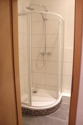 a shower with a glass enclosure in a bathroom at Drei Linden Fümmelse in Wolfenbüttel