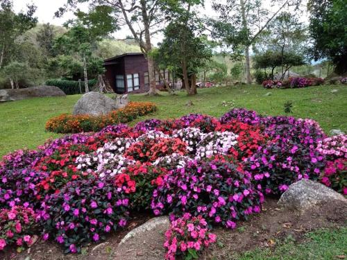Κήπος έξω από το Spring Garden