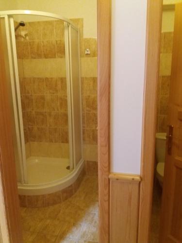 a bathroom with a shower and a toilet at Penzion Ve Staré škole in Vlastějovice