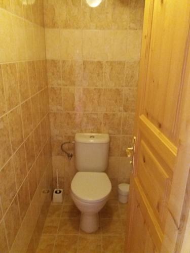 a bathroom with a white toilet in a room at Penzion Ve Staré škole in Vlastějovice