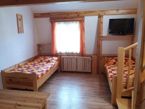 a bedroom with two bunk beds and a tv at Penzion Ve Staré škole in Vlastějovice