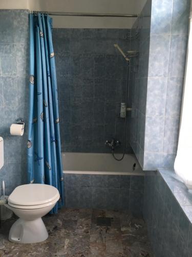 ein Badezimmer mit Toilette und Dusche in der Unterkunft Vila Černe in Bled