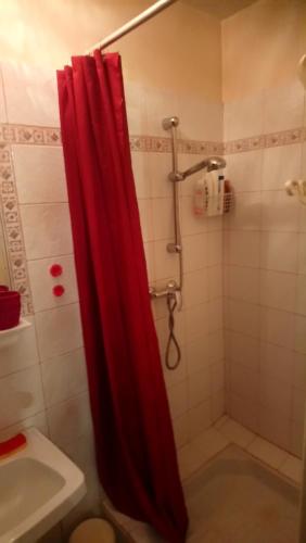 uma casa de banho com um chuveiro e uma cortina de chuveiro vermelha. em studio cosy en PROVENCE em Camaret-sur-Aigues