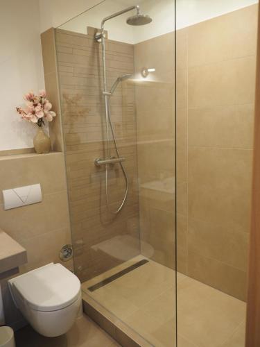 a bathroom with a glass shower with a toilet at 41 Reichsstraße in Düsseldorf