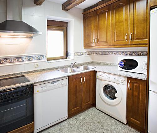 a kitchen with a sink and a dishwasher at Apartamentos Casa Buisan in Broto