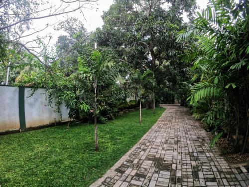 a brick path in a garden with trees at Yala Southern Homestay in Tissamaharama
