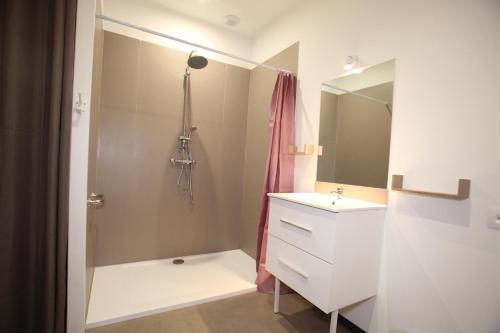 a bathroom with a shower and a sink and a mirror at Résidence Beauvoir le Mont-Saint-Michel (9 gîtes de 2 à 5 personnes) in Beauvoir
