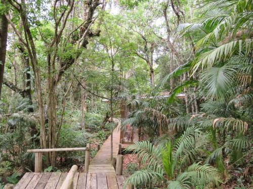 Κήπος έξω από το Pousada Águas de Ibiraquera Suíte Luz