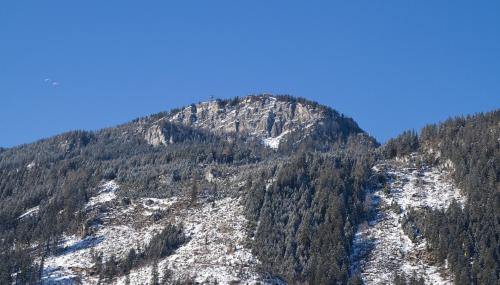 a mountain covered in snow and trees at Alpenchalet Brücke in Mayrhofen