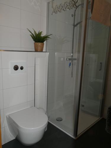 W łazience znajduje się toaleta i przeszklony prysznic. w obiekcie Chalet Bergmann w mieście Bürchen
