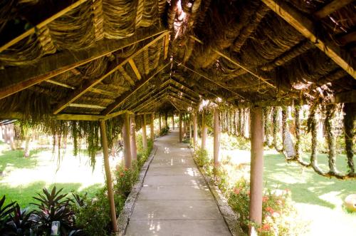 a walkway in a conservatory with plants at Hotel Porto do Zimbo in Morro de São Paulo