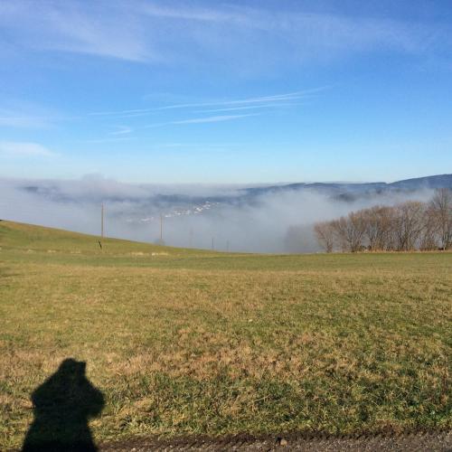 a shadow of a person standing in a field at Ferienbauernhof Koller (Familie Hofer) - Urlaub am Bauernhof in Helfenberg