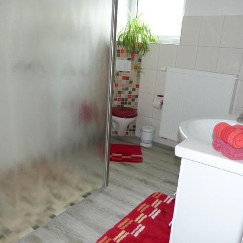 a bathroom with a shower and a sink and a toilet at Zur Nachtigall in Damnatz