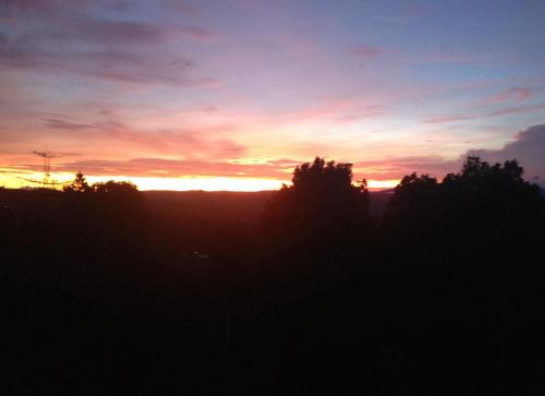 a sunset with trees in the foreground at KARANG SARI Guesthouse & Warung in Munduk