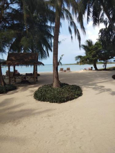 a beach with a palm tree and a picnic table at Angkana Bungalows adults only in Thongsala