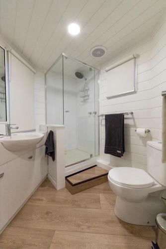 a bathroom with a shower and a toilet and a sink at Wedgetail in Dinner Plain