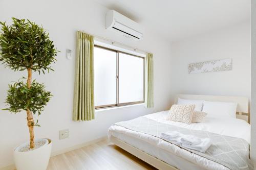 Momodani House 501