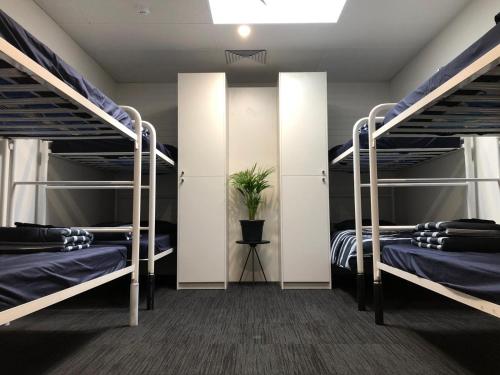 a room with two bunk beds and a mirror at Spinners Hostel in Perth