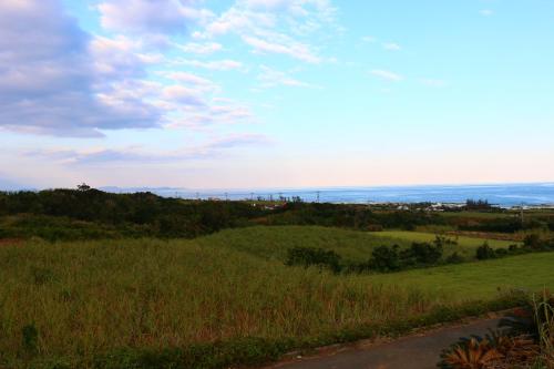 a grassy hill with a road in a field at Pension Kongo Baru in Tokunoshima