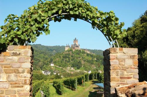 a gate to a vineyard with a castle in the background at Flair Hotel am Rosenhügel - Garni in Cochem