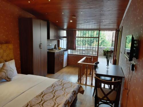 Kuchyň nebo kuchyňský kout v ubytování Royal Suites Sultanahmet