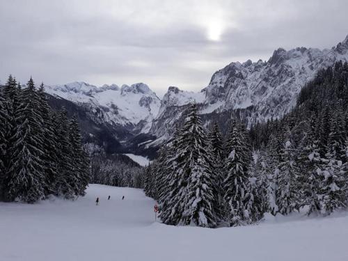 a group of people skiing down a snow covered mountain at Dachstein view ski apartment in Gosau