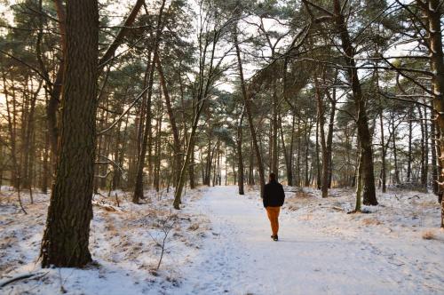 a man walking down a snow covered path in the woods at Hotel Jerom in Kalmthout