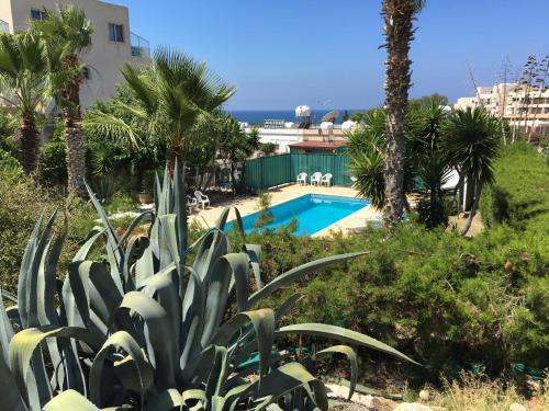 Majoituspaikassa Diamond Complex tai sen lähellä sijaitseva uima-allas