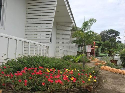 Taman di luar The luxury