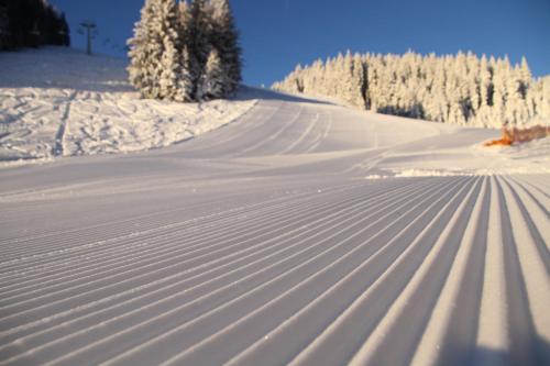 a snow covered slope with trees in the background at Wellness Hotel Montis in Mozirje