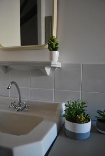 a bathroom with a sink and a mirror and plants at Natangora in Marcillac-Vallon