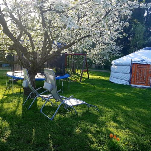 two chairs and a table and a swing under a tree at Pension New Nomads in Zesch
