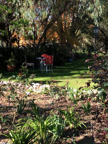 a garden with a table and chairs in the grass at The Lemon Tree in Prince Albert