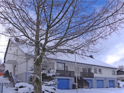 una casa bianca con un albero nella neve di Holiday home in Winterberg Gr nebach with terrace a Winterberg