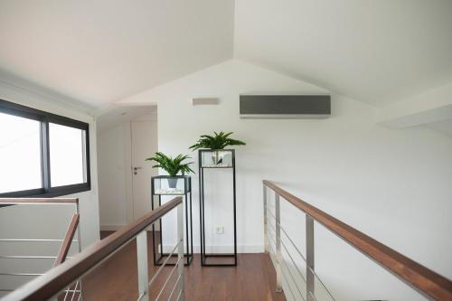 a staircase with two potted plants in a building at Casa do Ácer in São Vicente Ferreira