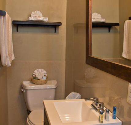 een badkamer met een wastafel, een toilet en een spiegel bij Casa Madonna in Guadalajara