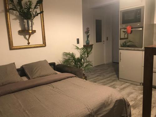 une chambre avec un lit et une plante dans l'établissement L’ensoleillée, à Nice