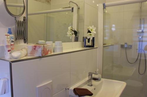 a bathroom with a sink and a shower with a mirror at Ferienwohnung am Park in Erfurt