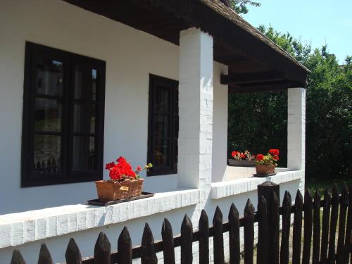 two potted plants on a porch with windows at Hollóköves Vendégházak in Hollókő