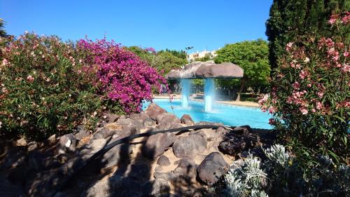 Homely appartment playa Acequion