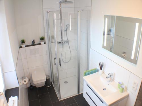 a bathroom with a shower and a toilet and a sink at Ferienwohnung Silbermöwe im Kirschgarten 1 in Kellenhusen