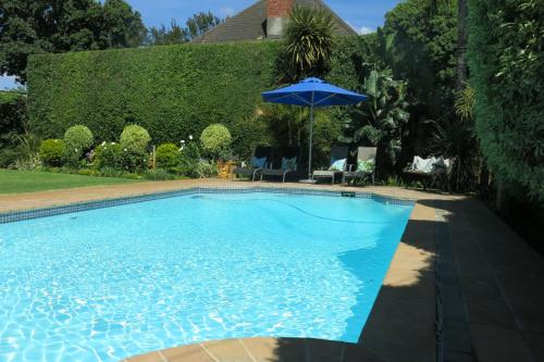 a swimming pool with an umbrella in a yard at Oakvale Lodge in Cape Town