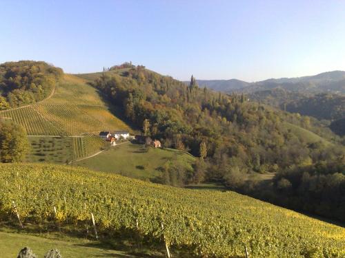 a vineyard on a hill with a house on it at Weingut Essgut Schlafgut Sabathihof-Dillinger in Glanz an der Weinstraße 
